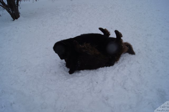 Фотография № 116024