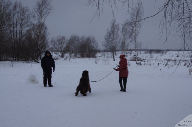 Фотография № 116027