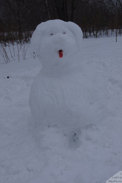 Фотография № 116030