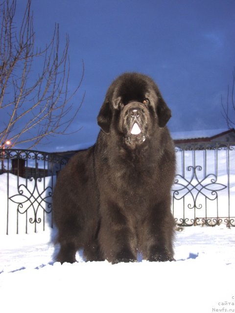 Фотография № 116032