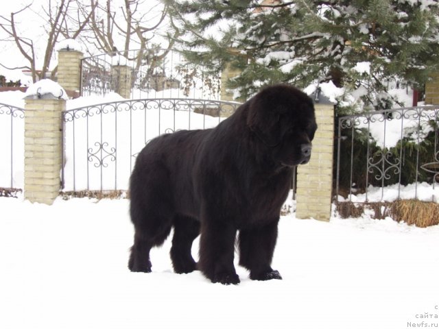 Фотография № 116048