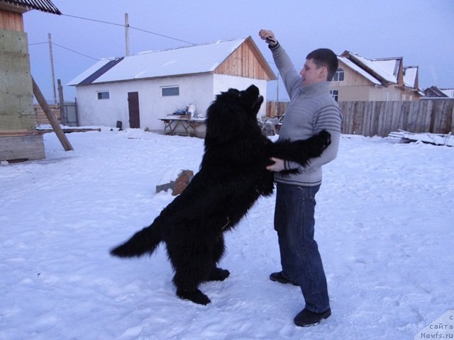 Фотография № 116087