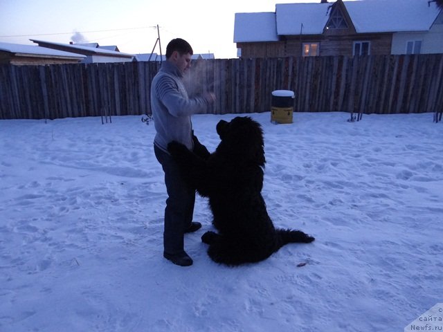 Фотография № 116088