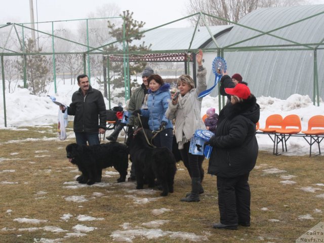 Фотография № 116089