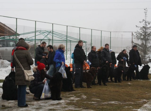 Фотография № 116090