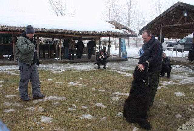 Фотография № 116096