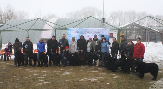 Фотография № 116097