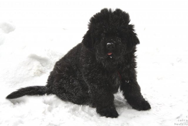 Фотография № 116113