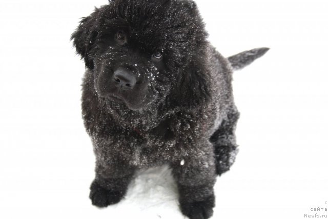 Фотография № 116114