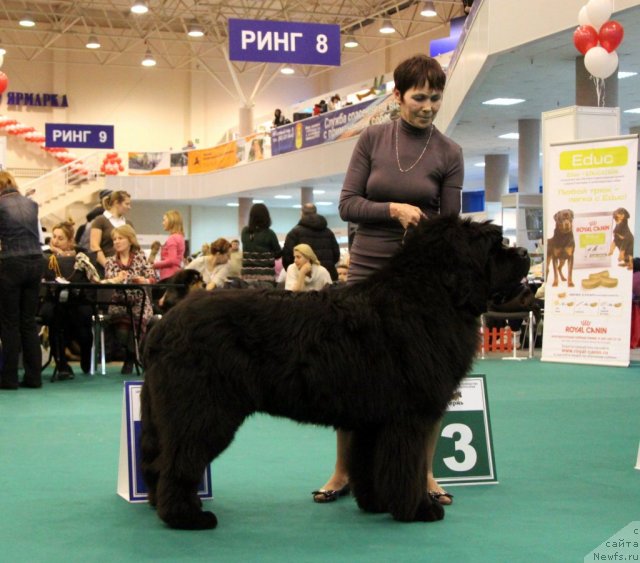 Фотография № 116142