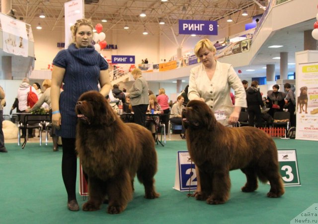 Фотография № 116149