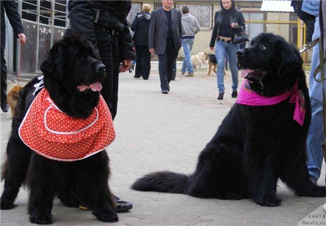 Фотография № 11615