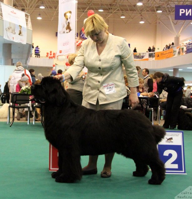 Фотография № 116151