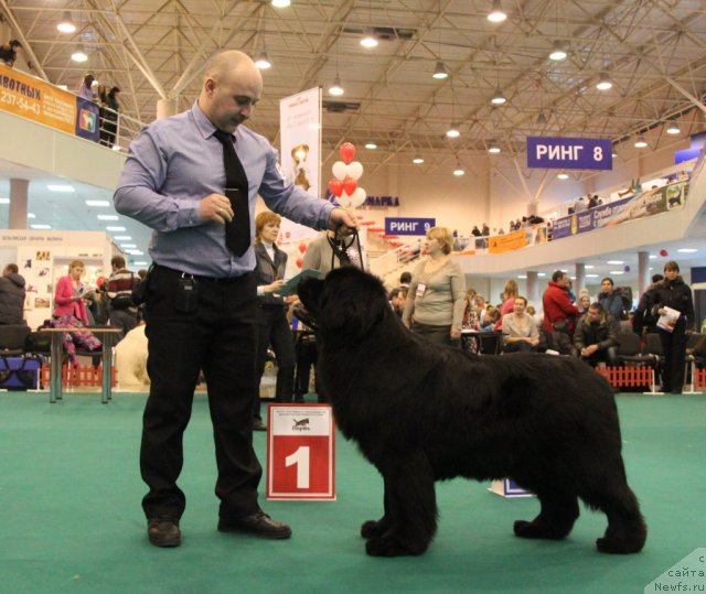 Фотография № 116152