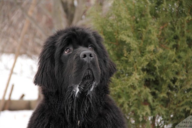 Фотография № 116235