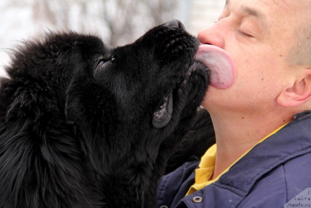 Фотография № 116243