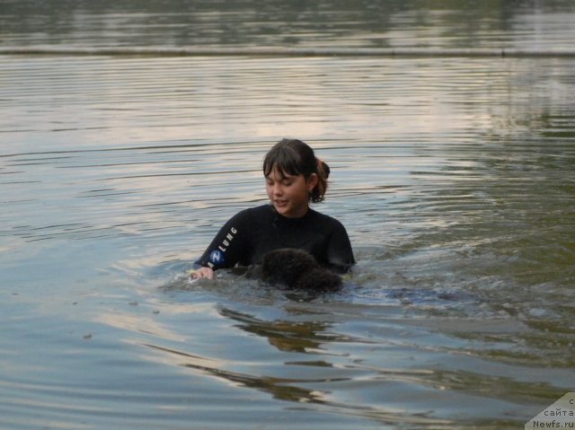 Фотография № 116245