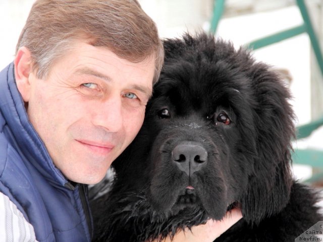 Фотография № 116248