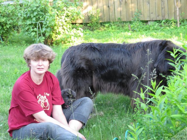 Фото: Анна Петрушкина, ньюфаундленд Мелти Вейв Марин Тифея (Melty Wave Marine Tifeya), ньюфаундленд Дюрбахлер Клаб Альфаретта Виньетта