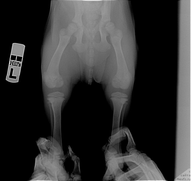 Фотография № 116290