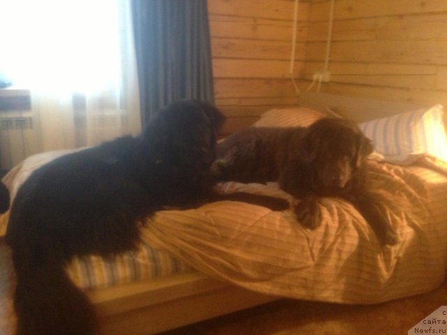 Фотография № 116298