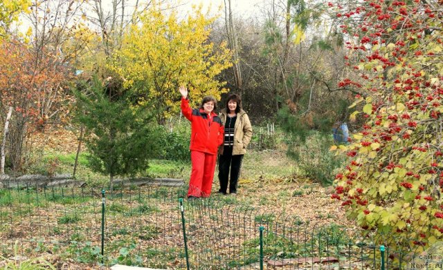 Фото: Наталья Татаринова, Татьяна Леусенко