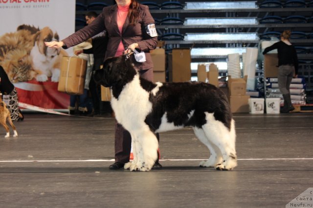 Фотография № 116382