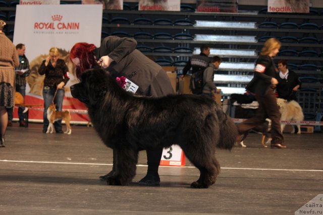 Фотография № 116386