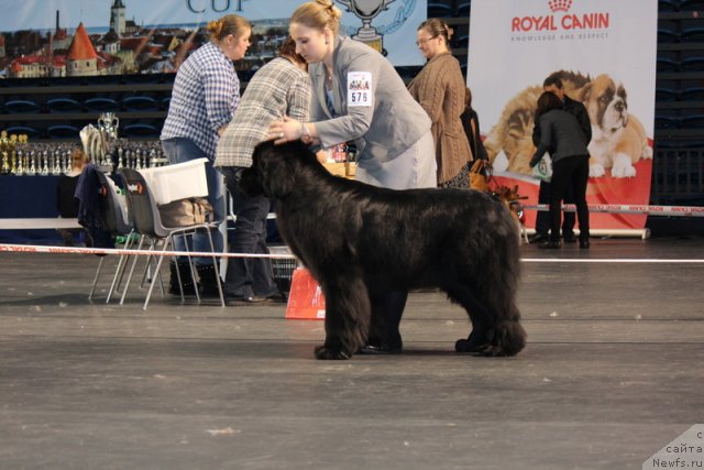 Фотография № 116391