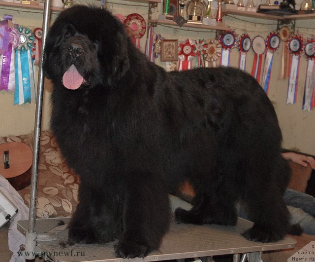 Фотография № 116411