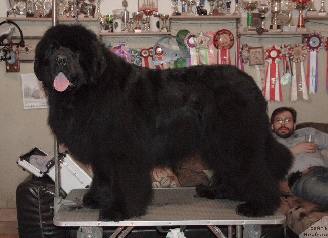 Фотография № 116412