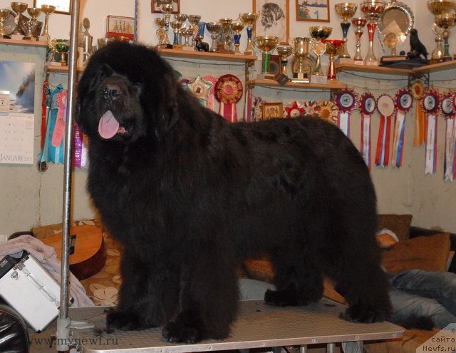 Фотография № 116413