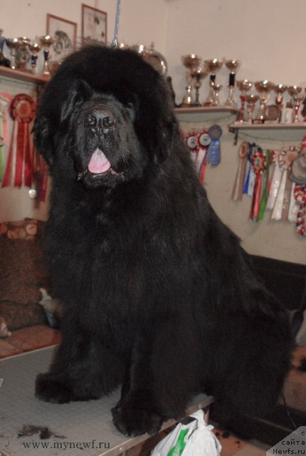 Фотография № 116415