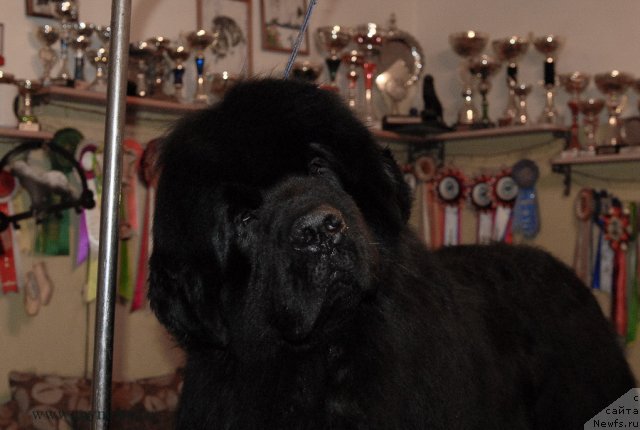 Фотография № 116417