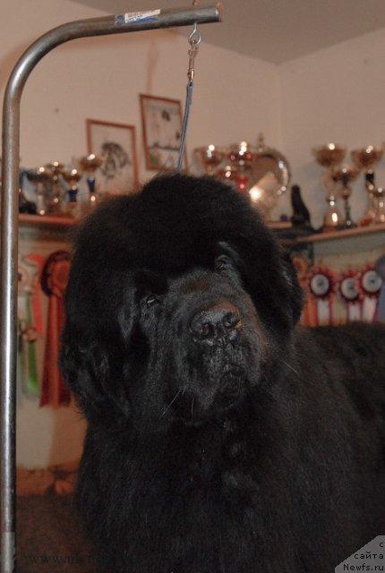 Фотография № 116418