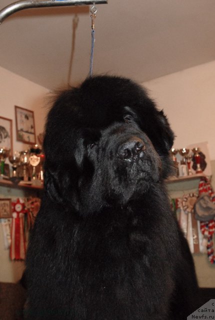 Фотография № 116419