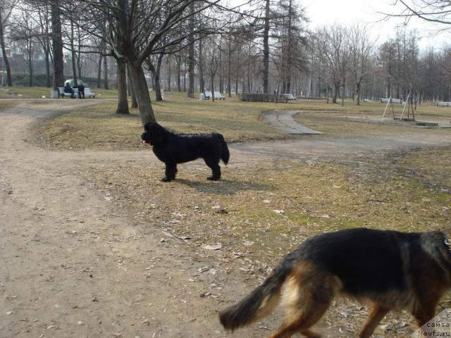 Фотография № 11642