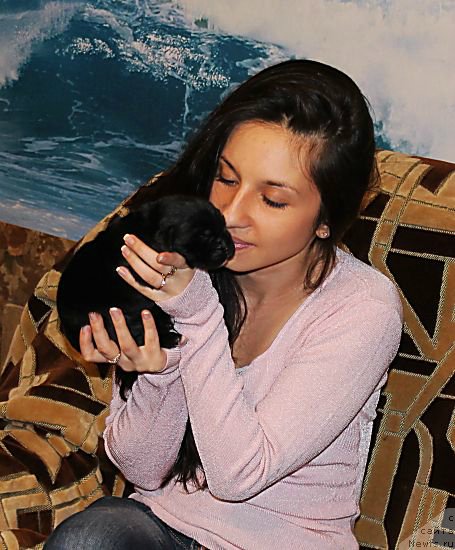 Фото: Светлана Леусенко