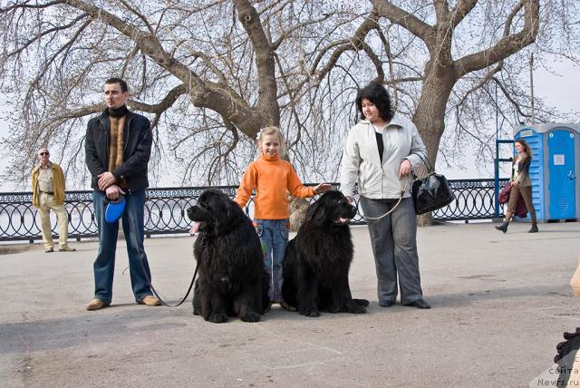 Фото: ньюфаундленд Юган с Тоянова Городка (Ygan s Toyanova Gorodka), ньюфаундленд Лесная Сказка Роза Черная