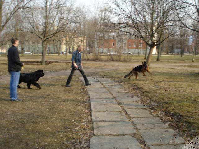 Фотография № 11644