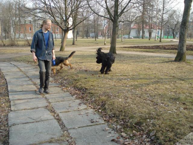 Фотография № 11645