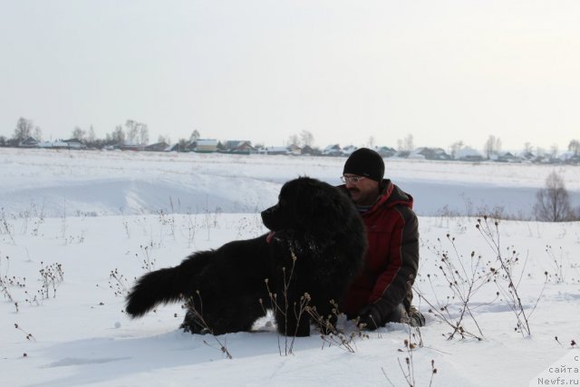 Фотография № 116452