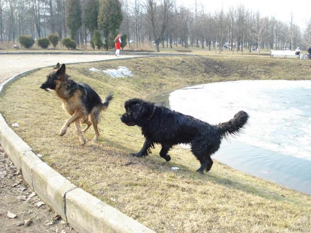 Фотография № 11647