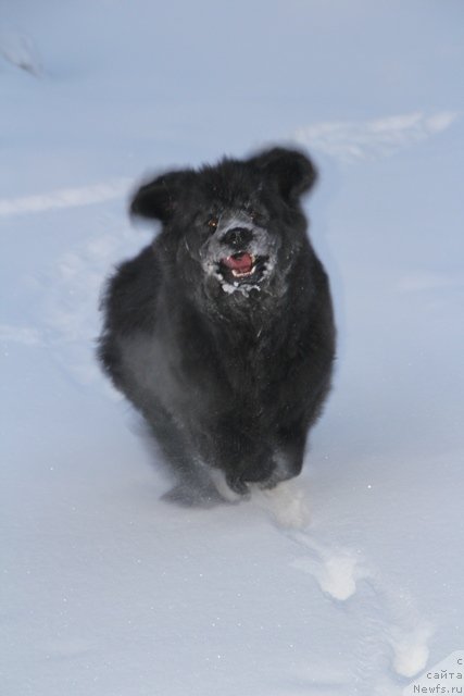 Фотография № 116471