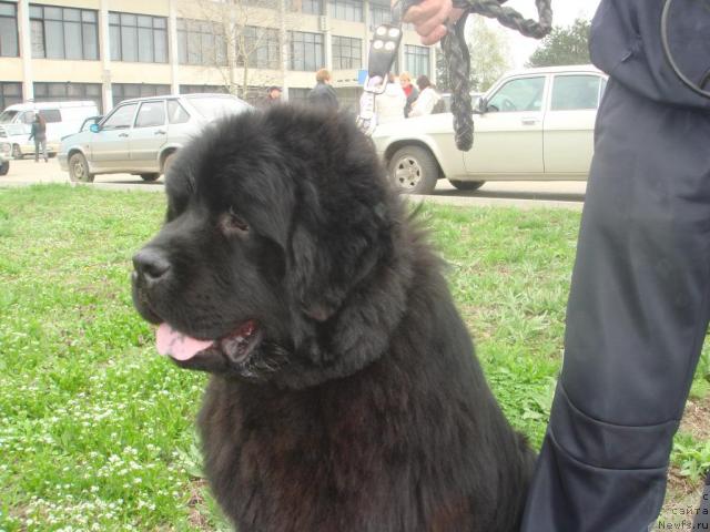 Фотография № 11649