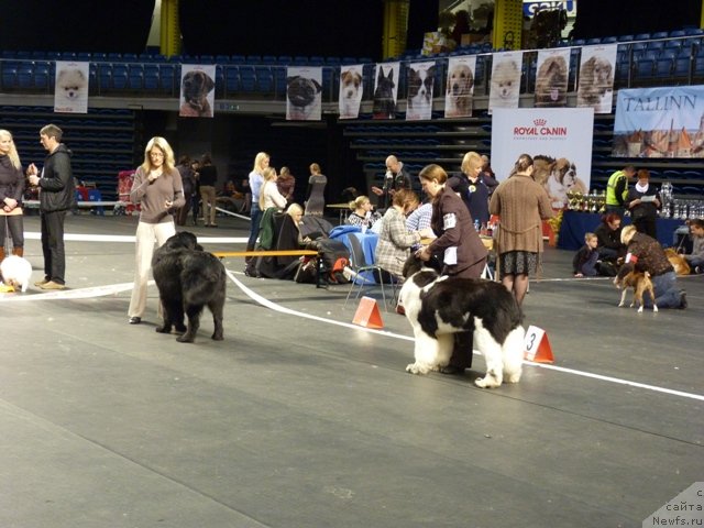 Фотография № 116507