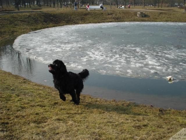 Фотография № 11651