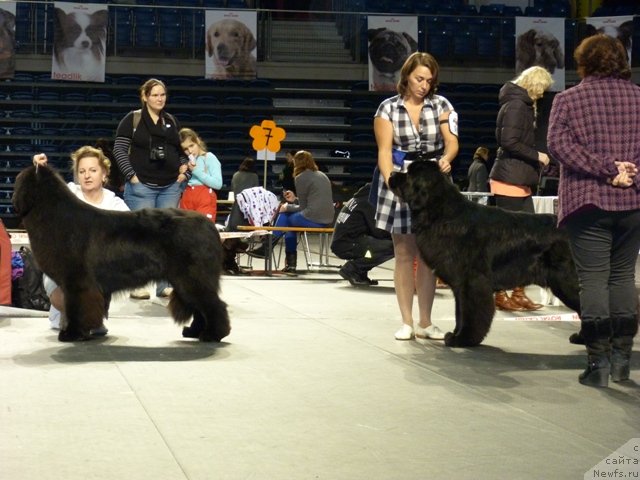 Фотография № 116513