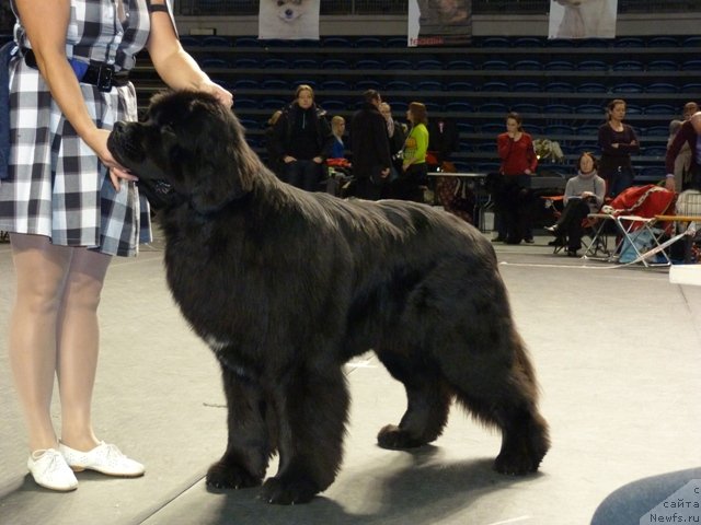 Фотография № 116516