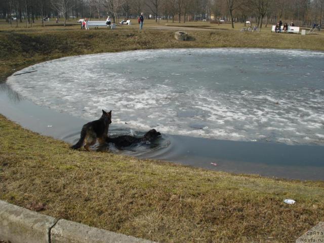 Фотография № 11652